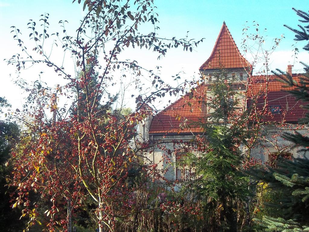 Dwor W Boleniu Villa Екстериор снимка