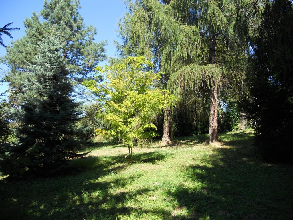 Dwor W Boleniu Villa Стая снимка